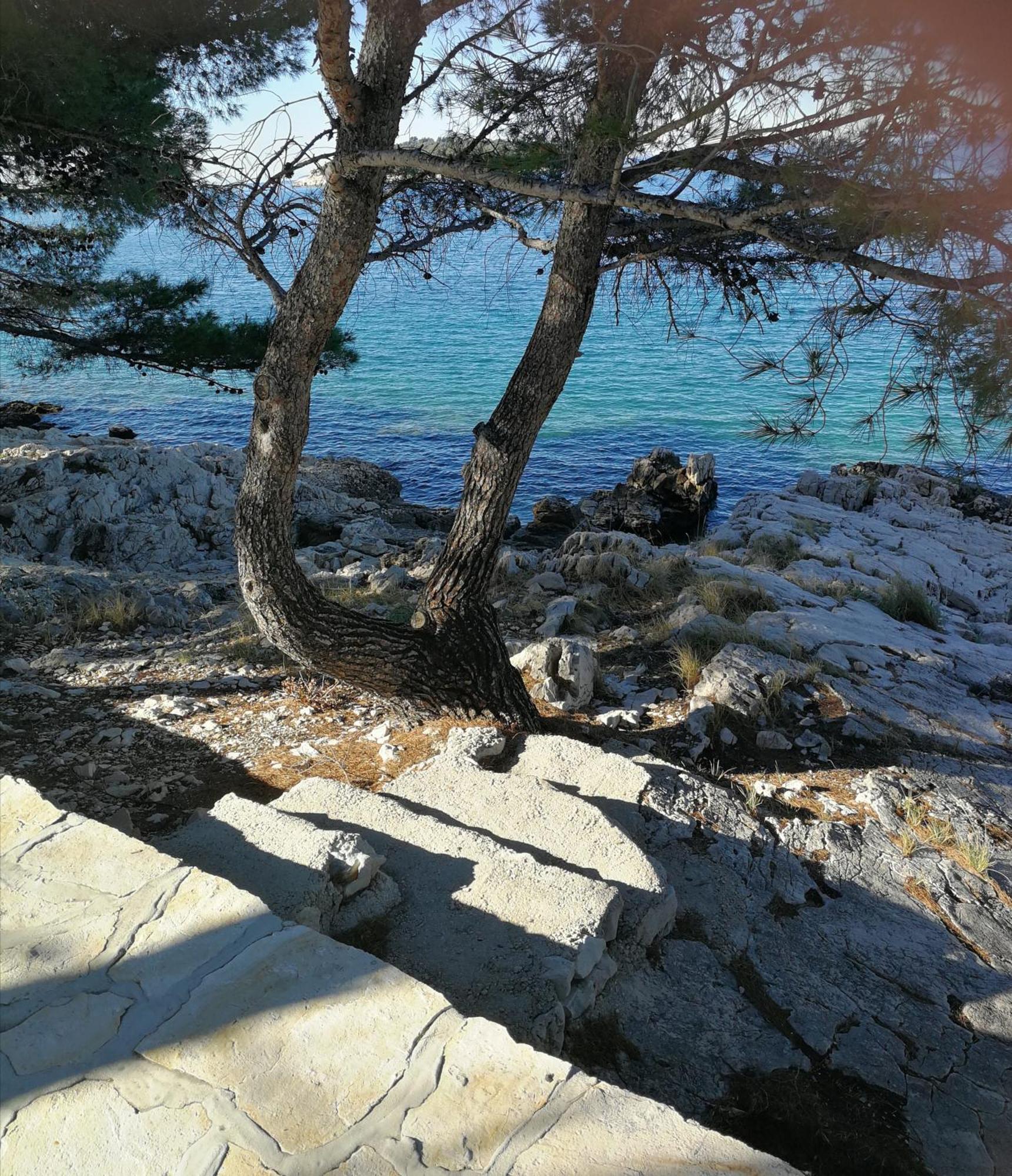 Vila House Kod Dide Primošten Exteriér fotografie