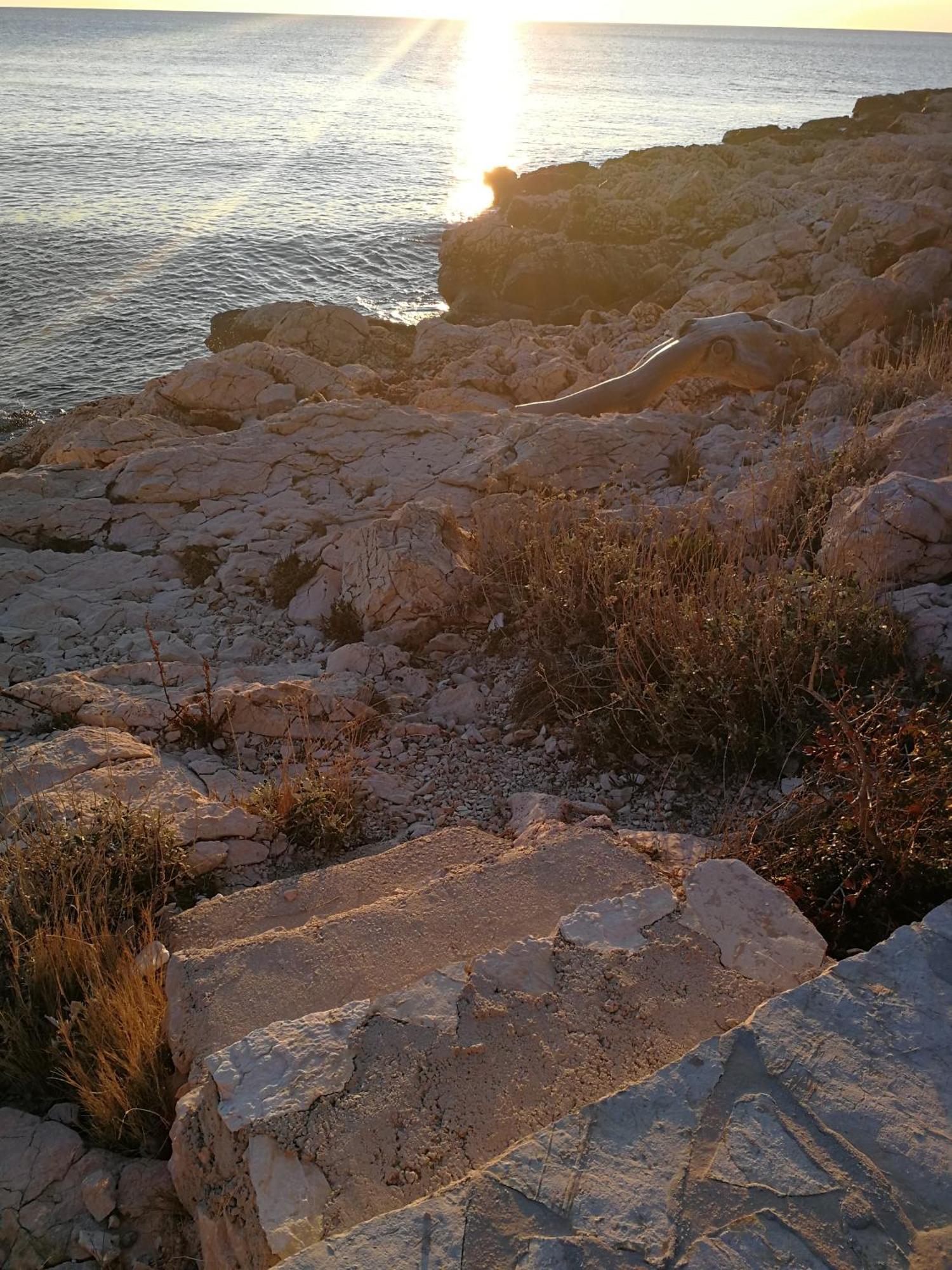 Vila House Kod Dide Primošten Exteriér fotografie
