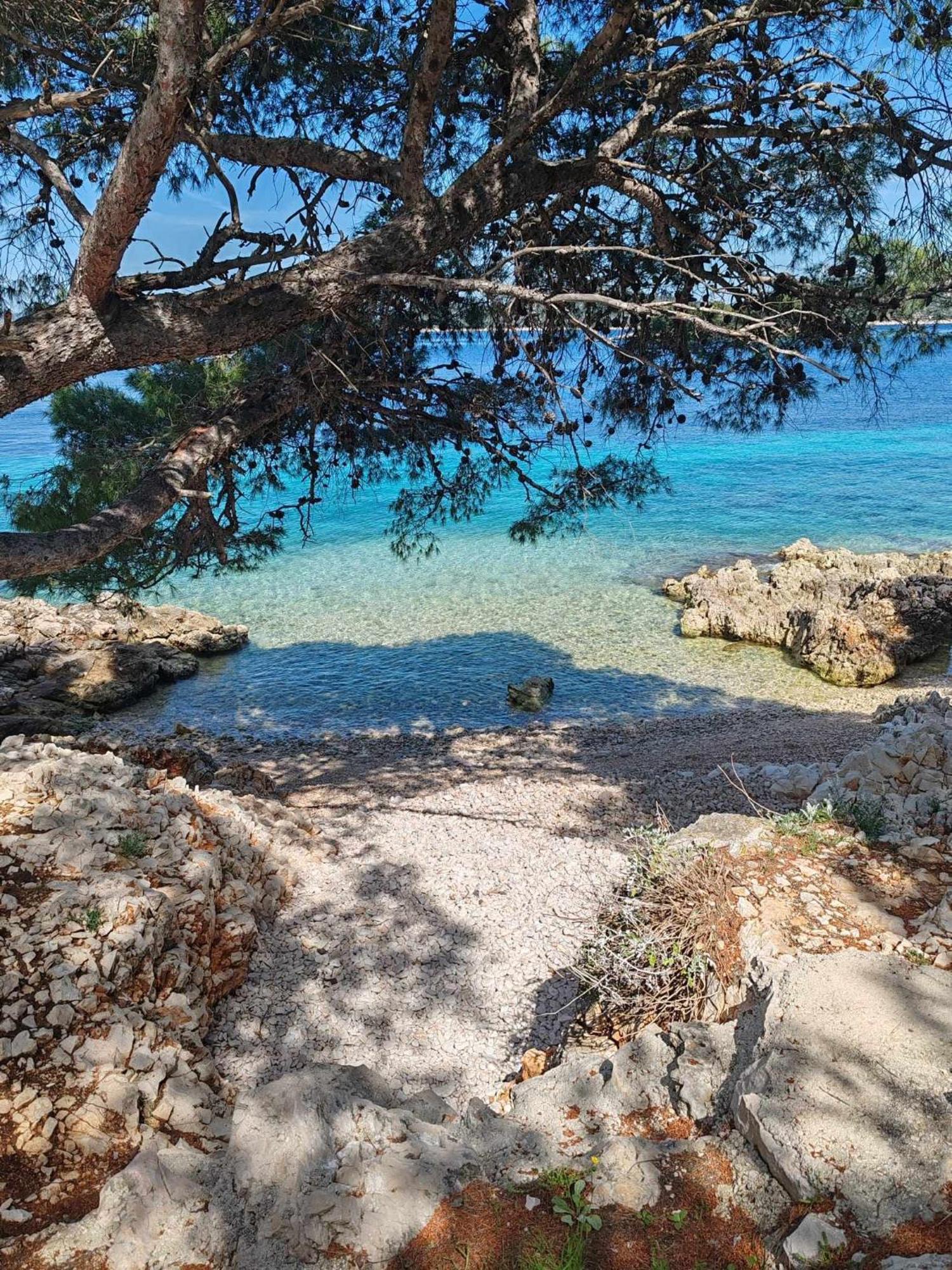 Vila House Kod Dide Primošten Exteriér fotografie